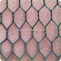 PVC Coted Hexagonal Wire Netting For Chicken House